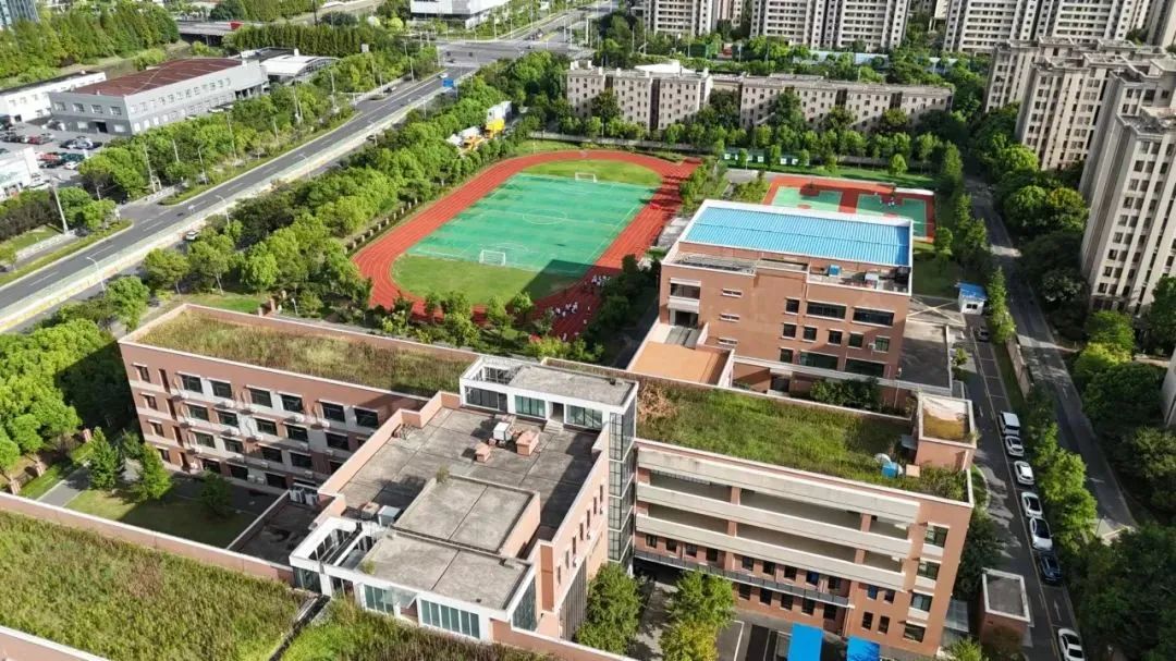TICC存志学校香港DSE及Alevel课程招生简章