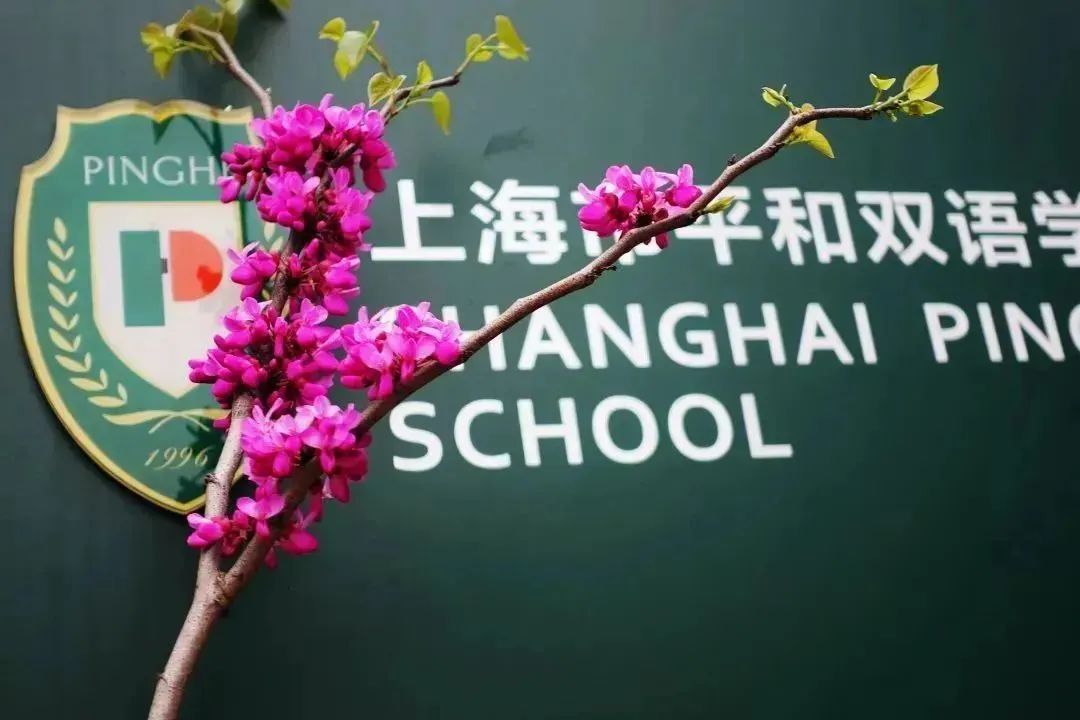 低至5%？沪上热门国际学校录取率盘点！人人想进的世外/平和/领科/光剑，到底有多难？