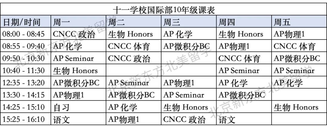 公立校一梯队国际部10年级都在学什么？AP考什么？