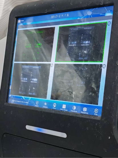 暑期实践｜深圳基因表达项目体验