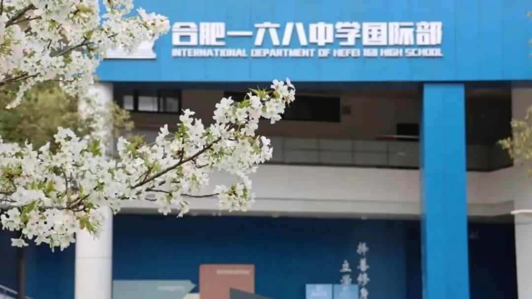 【干货收藏】合肥国际学校新高一A-LEVEL选课保姆级攻略！