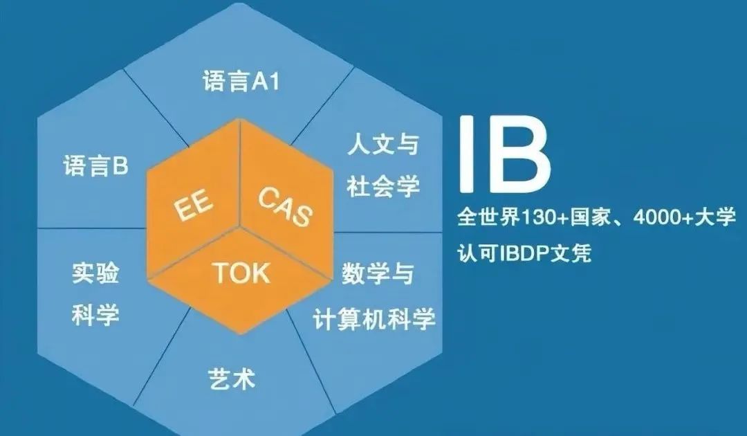 春招择校少走弯路！A-Level、AP与IB三大国际课程怎么选不踩雷？