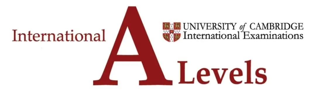 春招择校少走弯路！A-Level、AP与IB三大国际课程怎么选不踩雷？