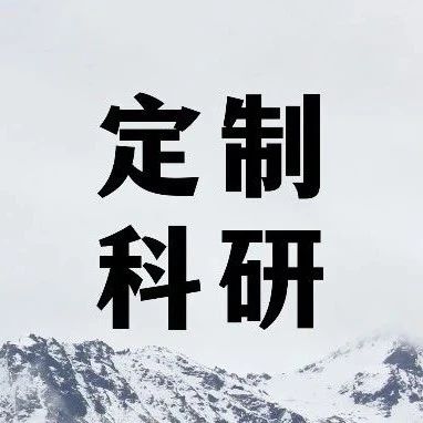 剑桥大学博士科研论文一对一项目：基于深度学习的三维点云的分类与识别任务