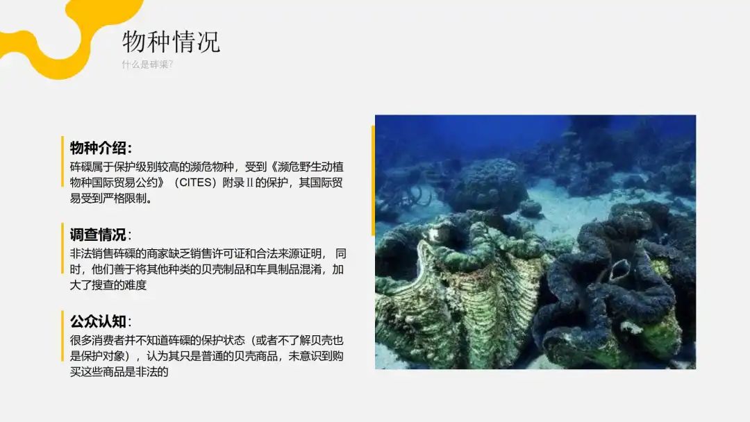 【国庆在线志愿者项目】足不出户，用学科专长助力公益议题解决