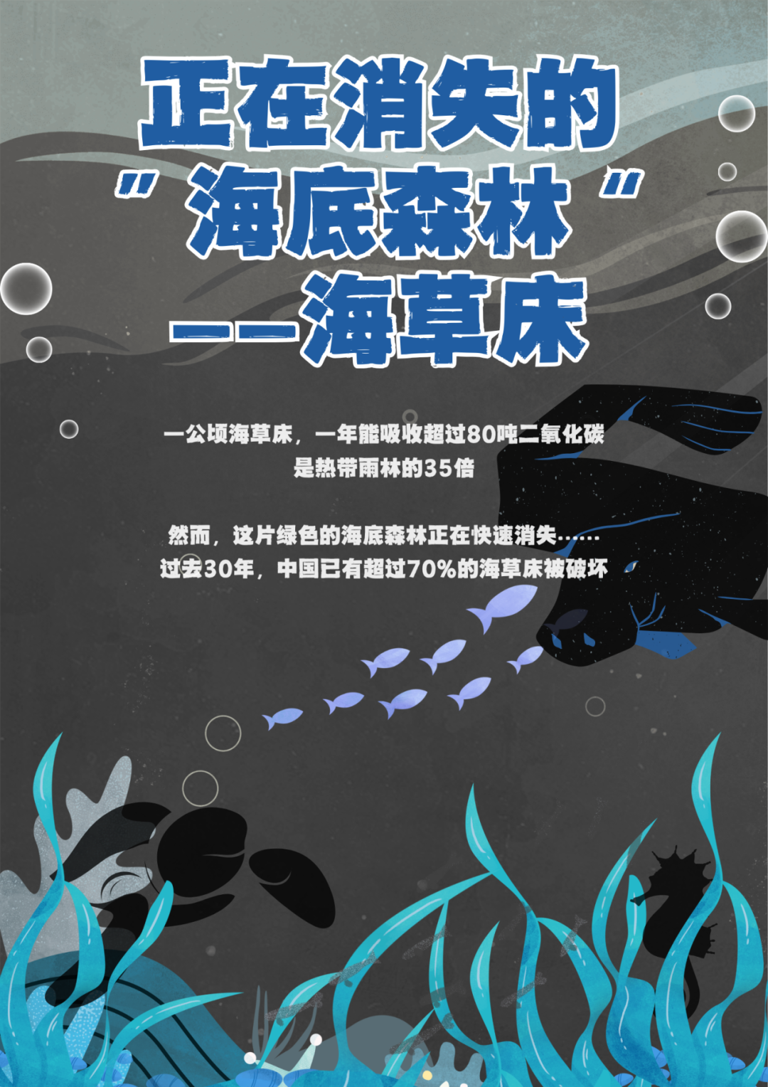 【国庆在线志愿者项目】足不出户，用学科专长助力公益议题解决