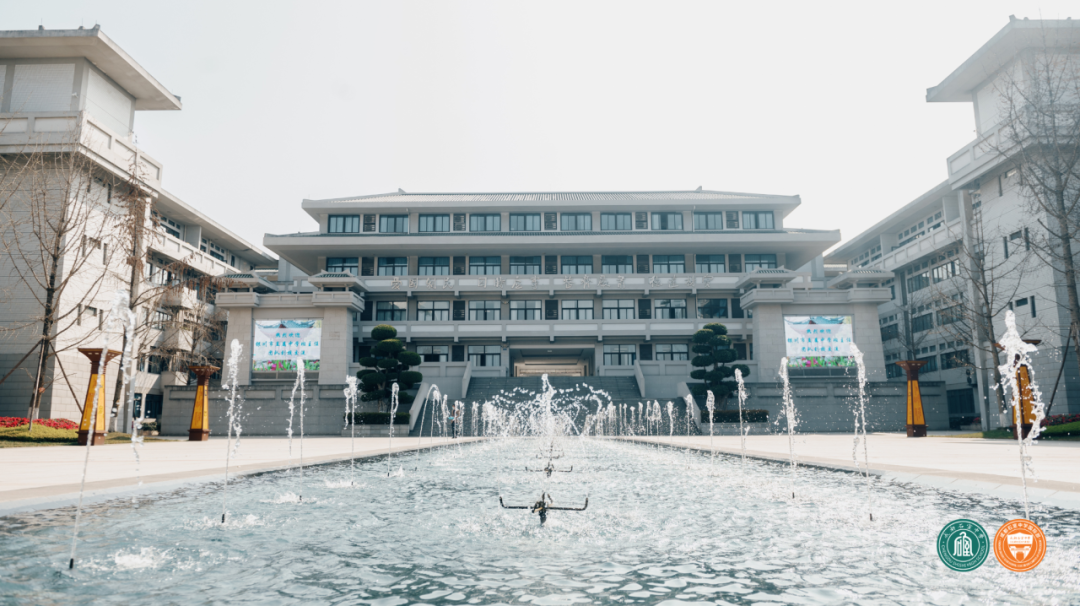 顶流国际部：四七九国际部解析
