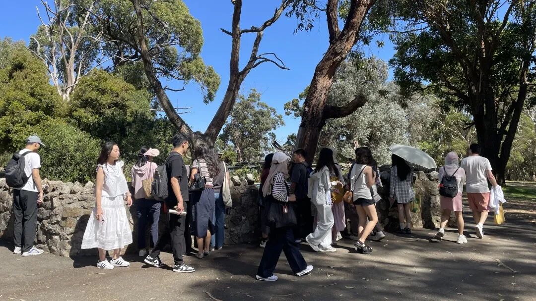 26春季 | 阿德莱德大学健康科学与科研沟通技能项目：学 CBL 案例教学、探医学实验室，还能拿官方证书！