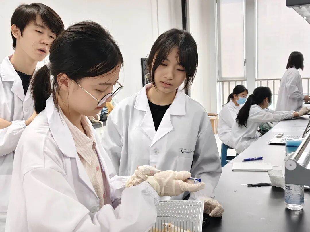 招生简章｜上海UEC2026春季招生简章