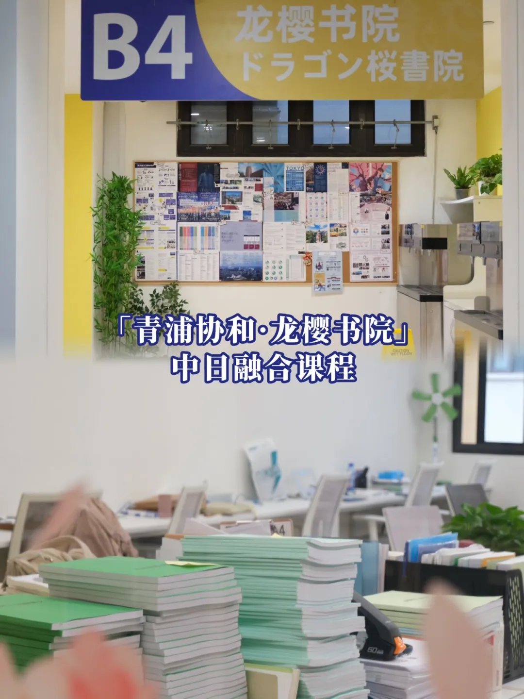 体验拉满！「青浦协和·龙樱书院」2026年春季入学开放日程全面升级！