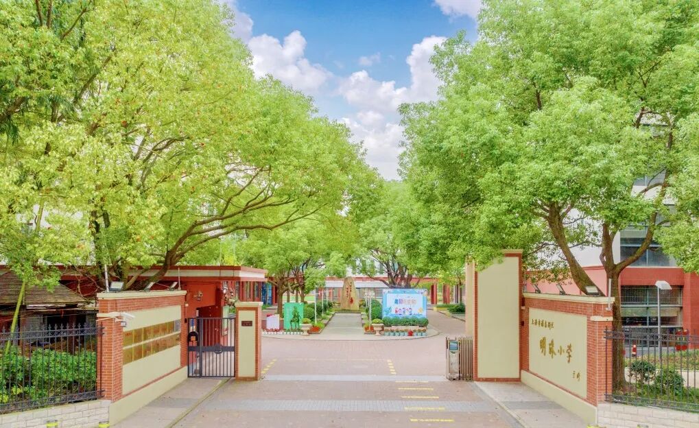 上海5所极具数学特色的公办小学，快看你心中的“数学强校”是否榜上有名？