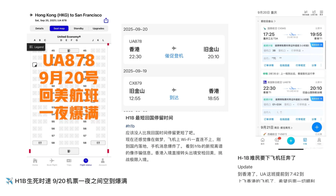 H1B政策一夜变天！都说川普太颠了，但其实利好中国留学生！？
