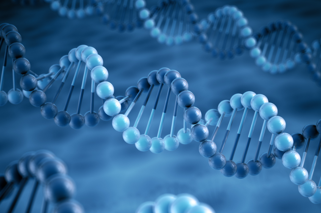 BBO生物竞赛提前3个月开考！备赛时间紧张学生该如何应对？