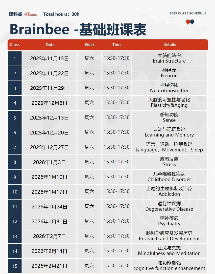 全面解码BrainBee：发展历史、升学案例、2026考试时间、考点、培训（基础/提高）
