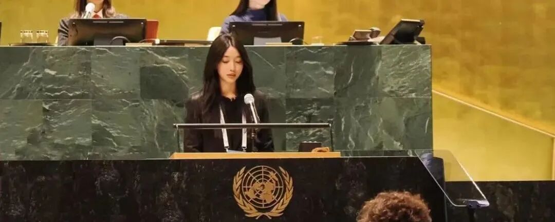 WIMUN | 在联合国总部开模联是怎样的体验？
