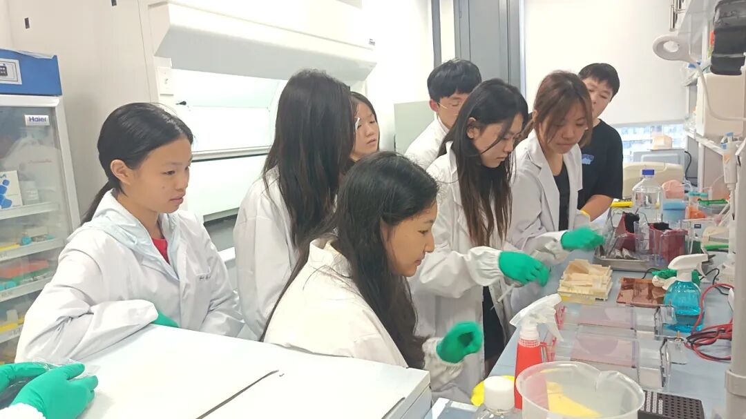 项目回顾｜基于动物模型的成瘾性精神疾病研究