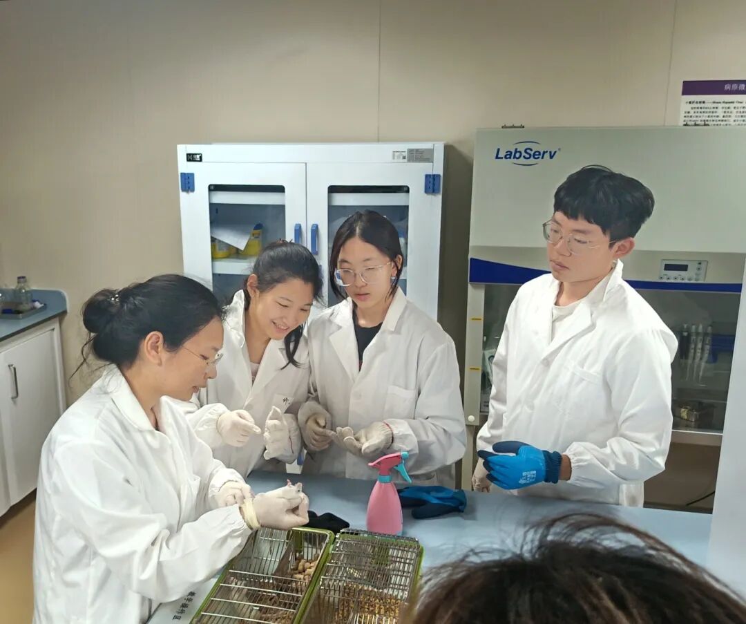 项目回顾｜基于动物模型的成瘾性精神疾病研究