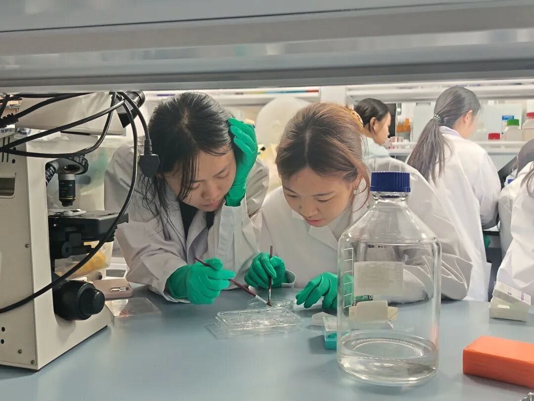 项目回顾｜基于动物模型的成瘾性精神疾病研究