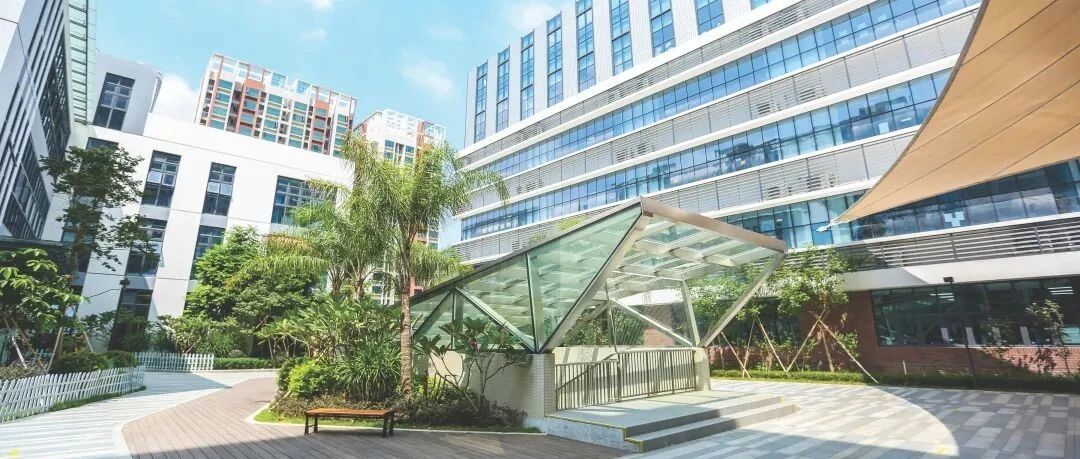 深圳老牌国际学校——南山外籍人员子女学校2026-27年学位申请开启！招生简章来啦