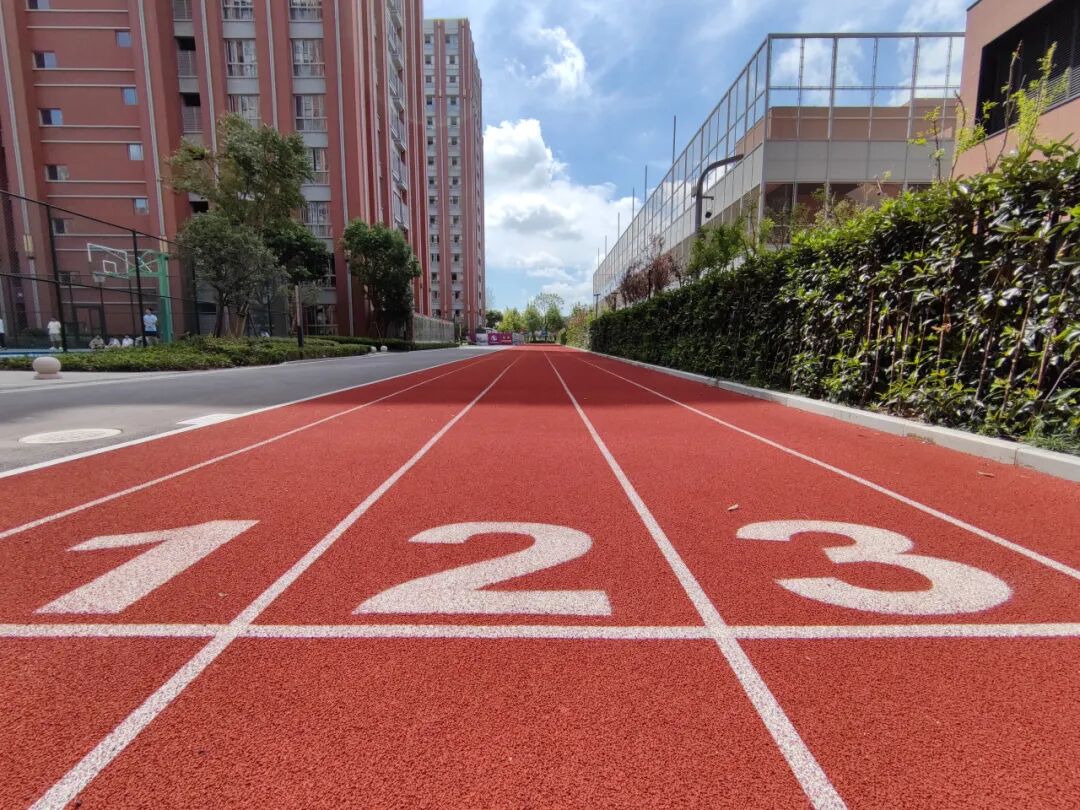 圣华紫竹2026学年校园开放日（10月25日）