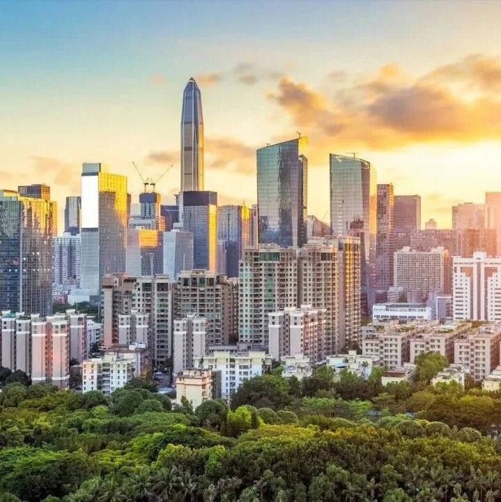 深圳国际学校四大体系拆解：哪所才是你的择校首选？