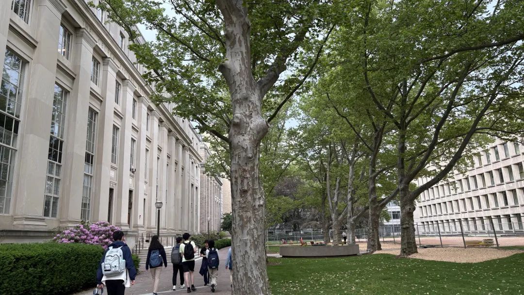 IRO全球轮回顾 | 在哈佛和STEM学霸PK的这三天，本高一理科生深感幸亏来了...