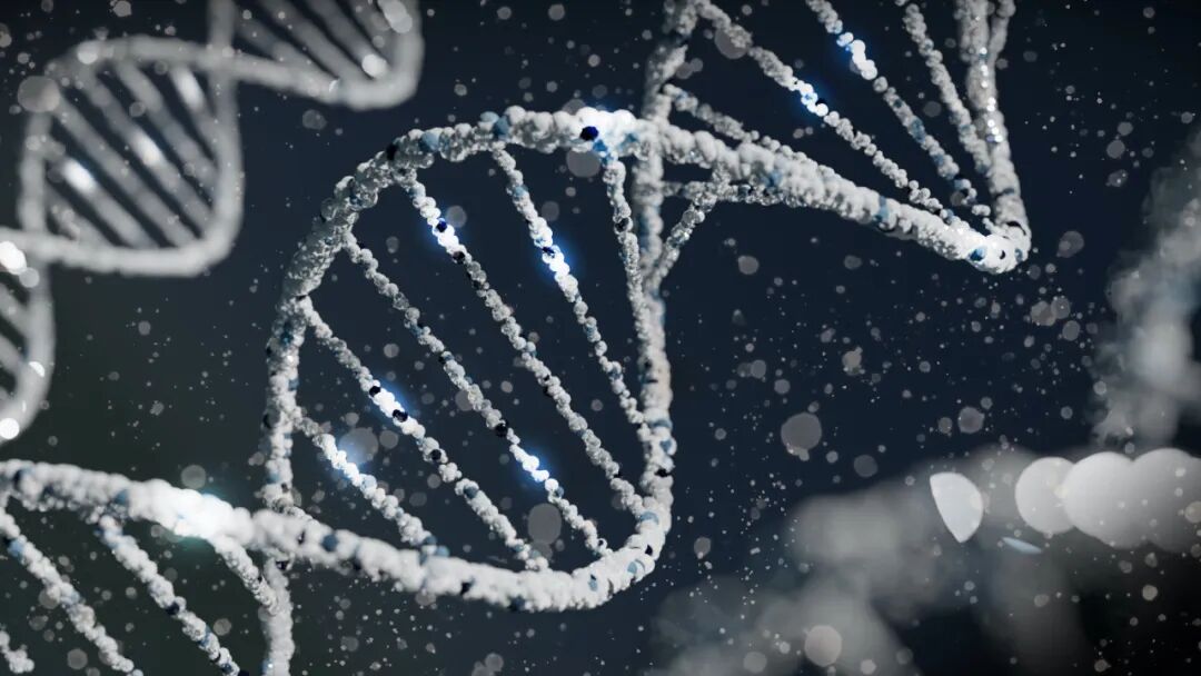 上海交通大学 | 生物信息学：基因组学在人类疾病诊断中的应用