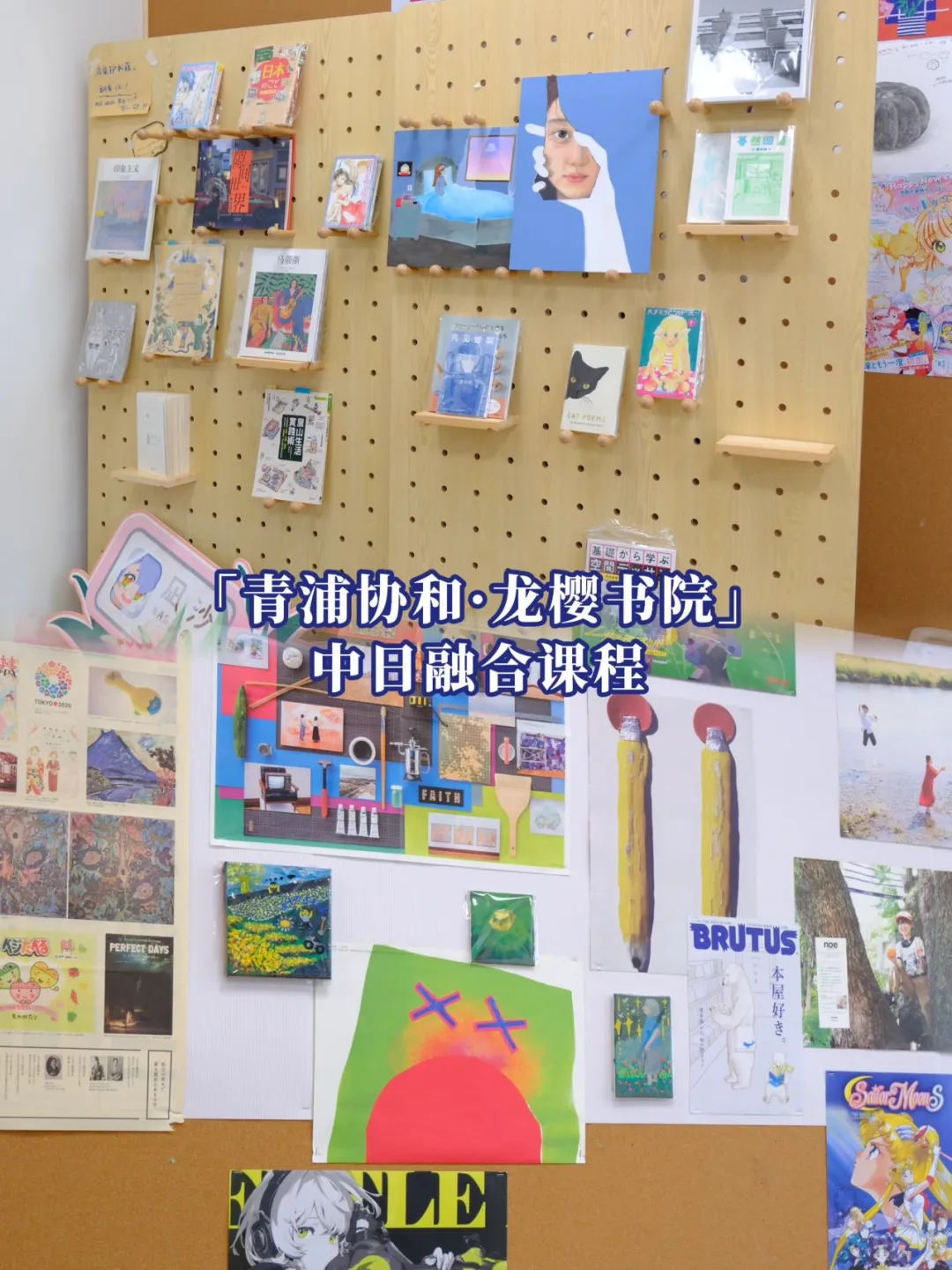 体验拉满！「青浦协和·龙樱书院」2026年春季入学开放日程全面升级！