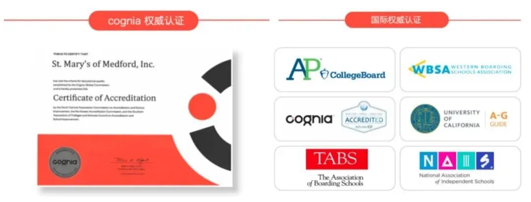 9-12年级AP课程如何选课？热门AP科目搭配学习推荐！