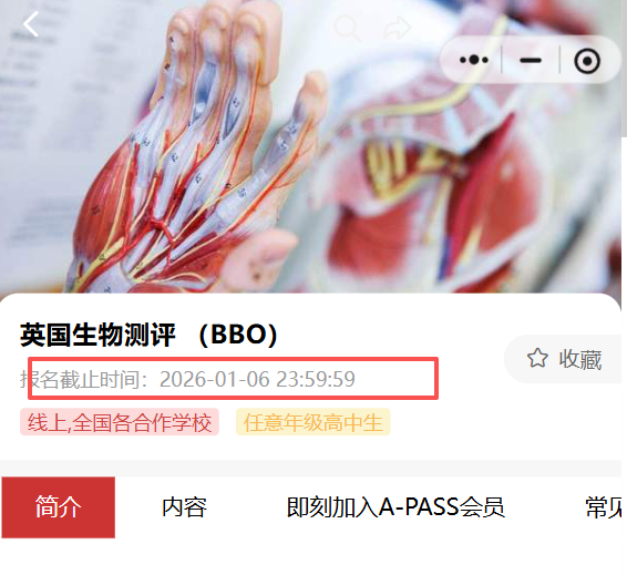 2026年BBO考试时间提前到1月17日 备考时间压缩 不同年级学生应该怎么备考？
