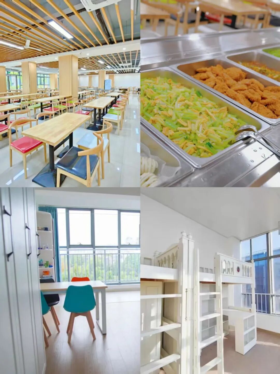 笃行致远 蓄势新篇｜林国荣学校开学迎新，共赴成长新旅程