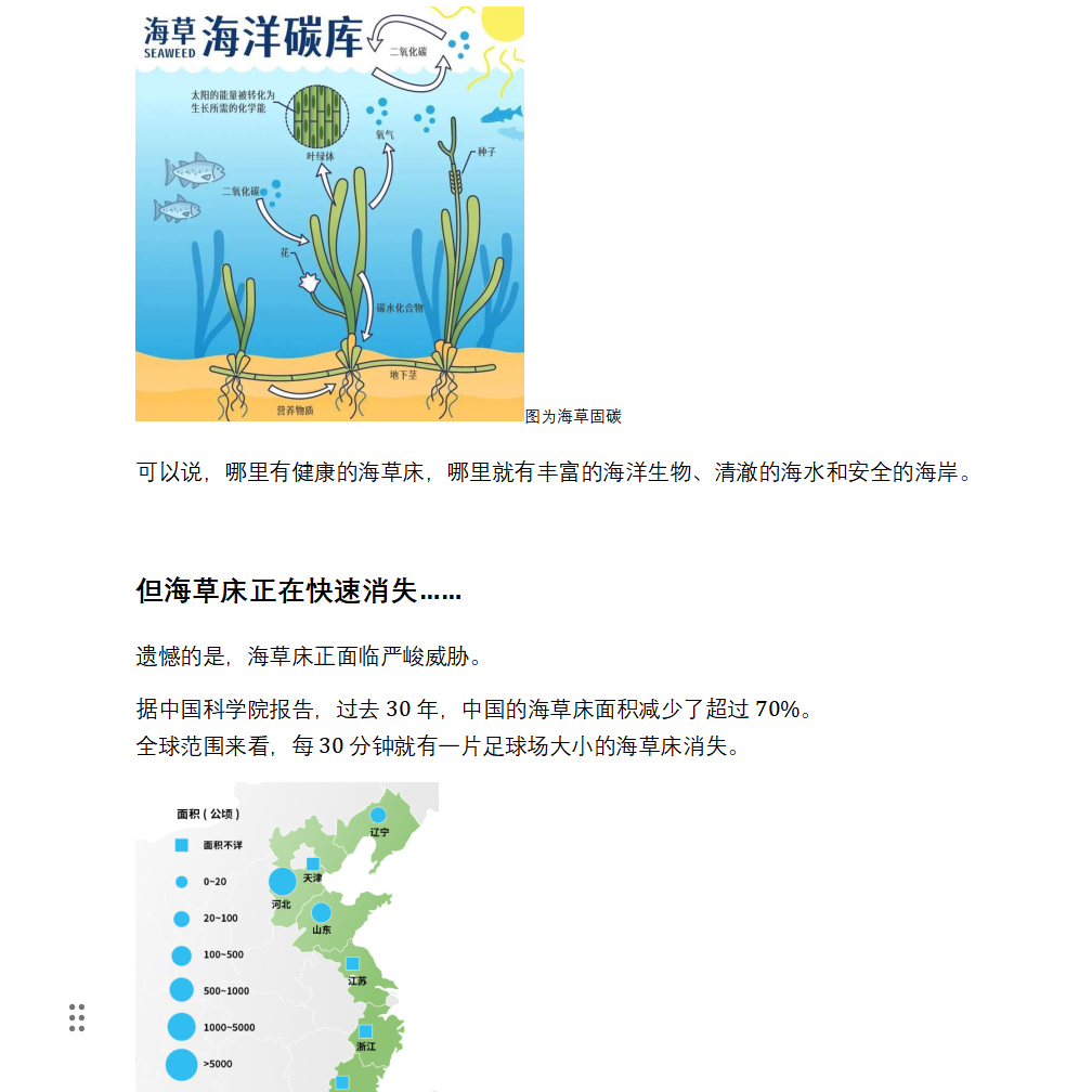 【国庆在线志愿者项目】足不出户，用学科专长助力公益议题解决
