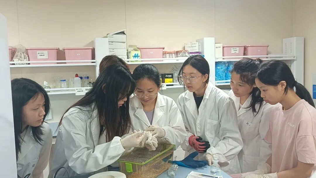 项目回顾｜基于动物模型的成瘾性精神疾病研究