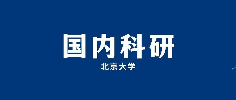 北京大学副教授科研项目：ChatGPT在对话生成等自然语言处理领域的算法原理探究