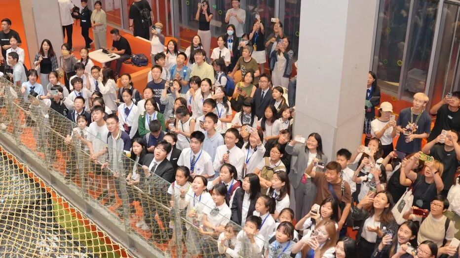 2025 TOC Asia 中国西南资格赛 | 成都线下赛 参赛指南！