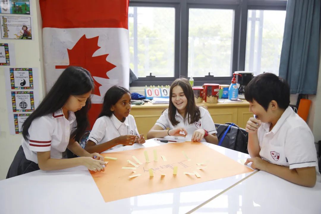 深圳老牌国际学校——南山外籍人员子女学校2026-27年学位申请开启！招生简章来啦