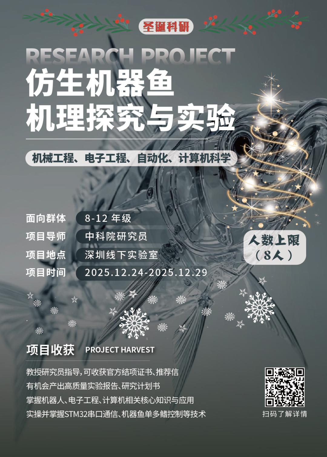 计算机/人工智能/数学-2025圣诞+寒假线下实验室科研报名开启！