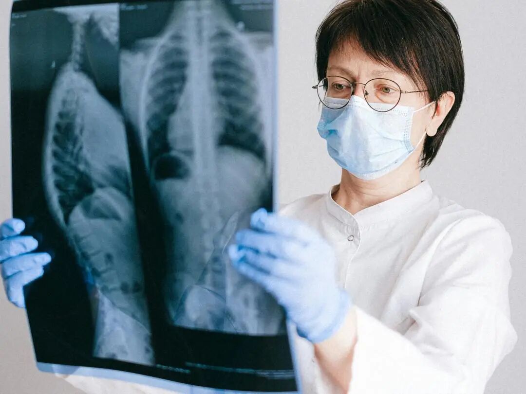 香港名校课程寒假档期提前锁定：港大/港科大/港理工正式开启报名！