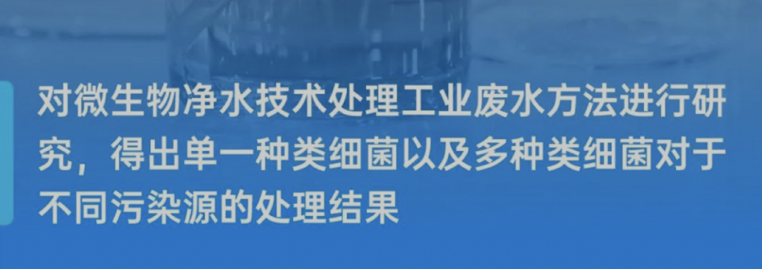 CTB真像传说中那样高不可攀吗？获奖老师帮你解惑！