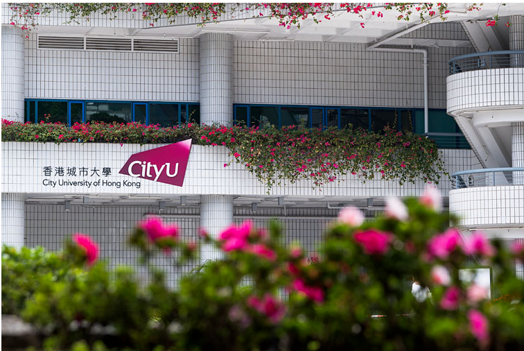 香港城市大学为何要退出内地高考统招，改为独立招生？