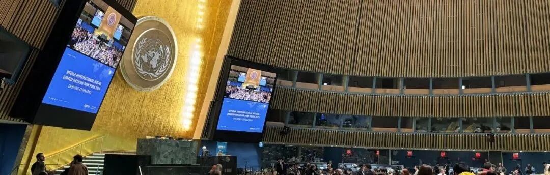 WIMUN | 在联合国总部开模联是怎样的体验？