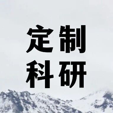 爱丁堡大学博士科研论文一对一项目：网络行为广告的法律问题