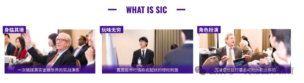 一文讲清！2025年SIC竞赛S14赛季时间线/考试形式/组队辅导~