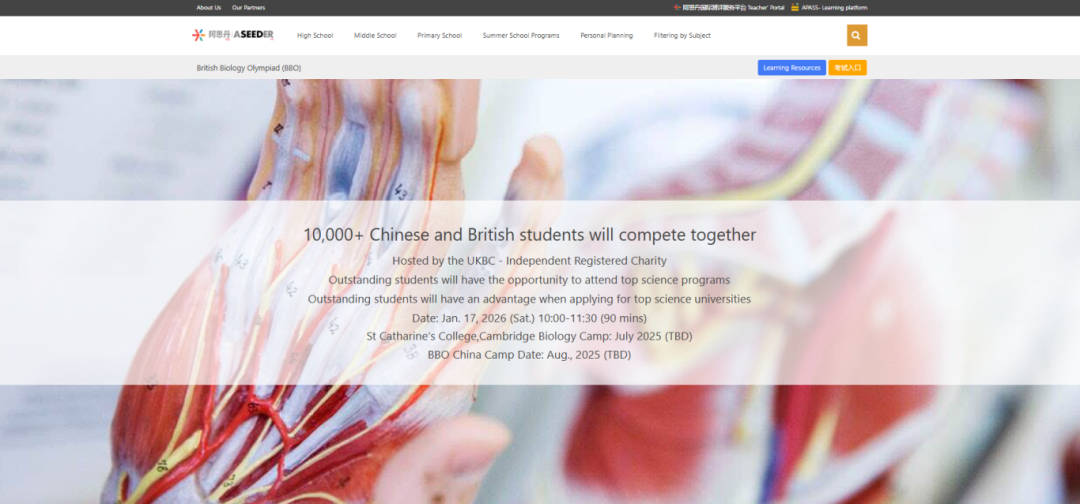 2026 年BBO竞赛提前预警！2026年BBO要如何备赛？