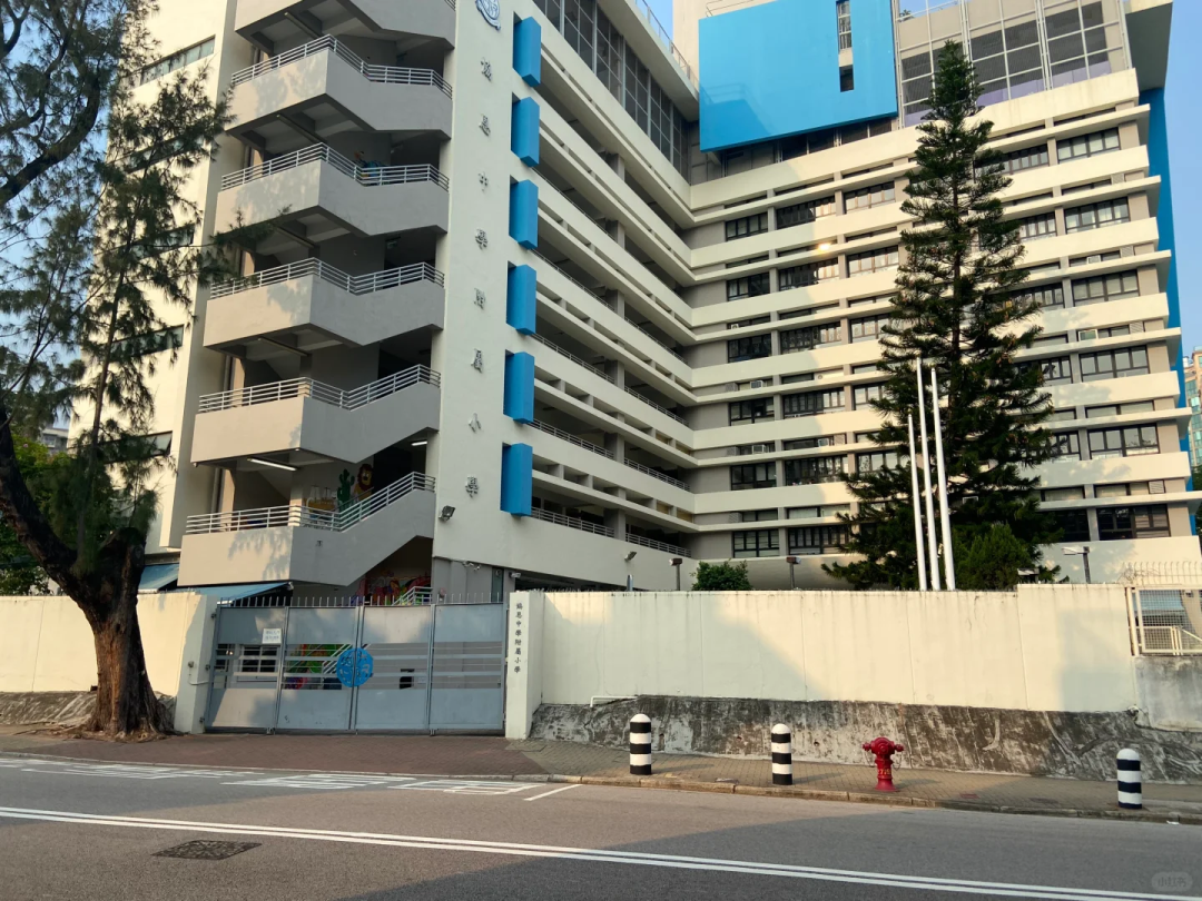 什么是香港校网？四大名校网全解析，择校不迷茫！
