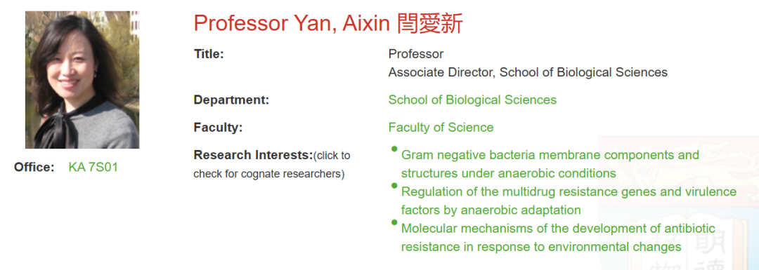 香港大学全奖博士项目（Prof. Yan Aixin）