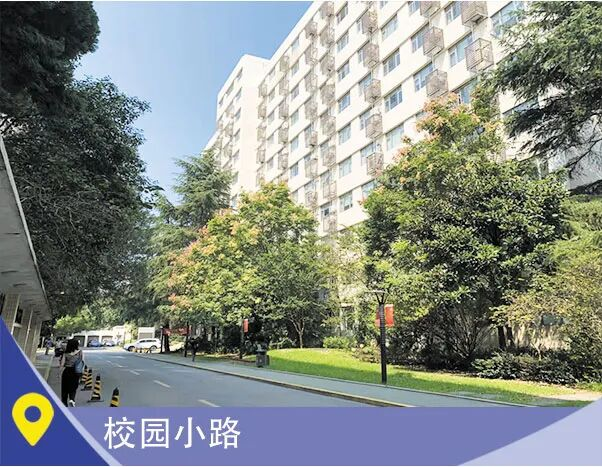 上海工程技术大学多语种高中项目：升学规划清晰、30所海外直通院校