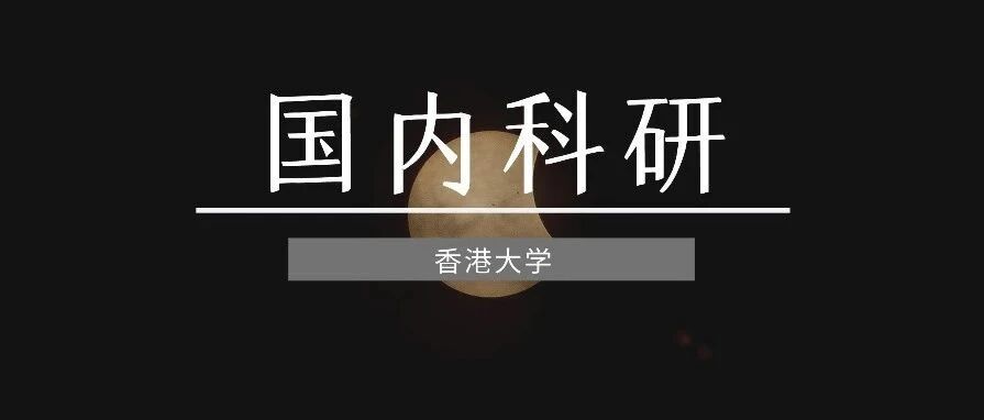 香港大学终身教授科研项目：探讨儿童与青少年教育中的多方影响因素
