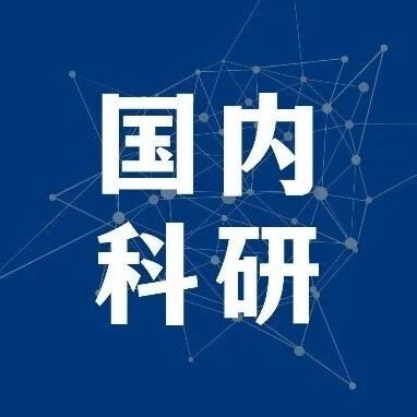北京大学助理教授科研项目：“黑天鹅”和“灰犀牛”频发下国际经济发展及货币体系研究