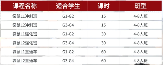 最受小学欢迎的袋鼠数学竞赛如何报名？袋鼠竞赛什么时候考试？